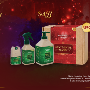 Homebound Holiday Set B