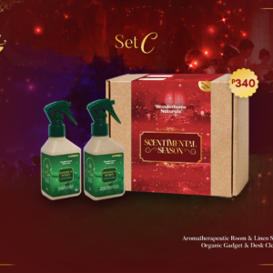 Homebound Holiday Set C