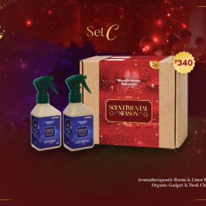 Christmas Bonfire Set C