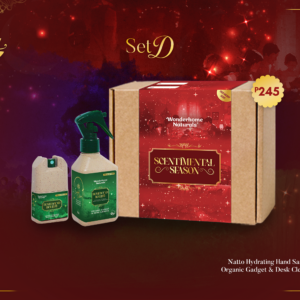 Homebound Holiday Set D