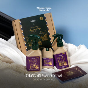 Wonderhome Limited Edition Chiang Mai Set A