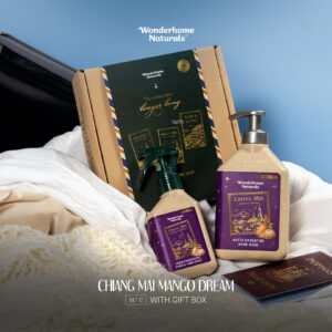 Wonderhome Holiday Travel Series Chiang Mai Set C