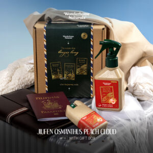 Wonderhome Holiday Travel Series Jiufen Set D